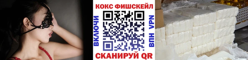 Cocaine FishScale  Купить закладки  Фрязино 