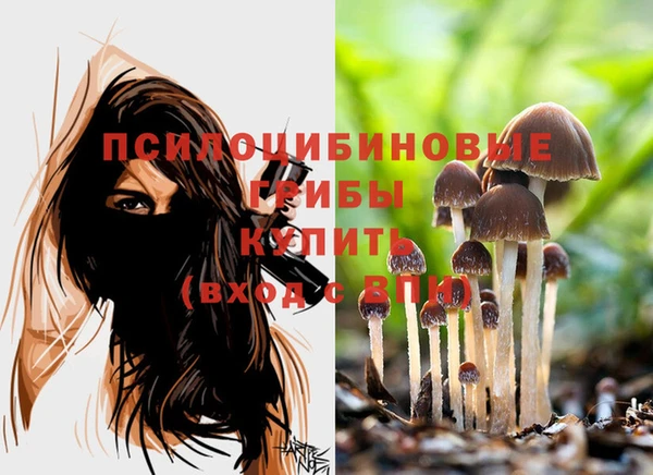 mdpv Козельск
