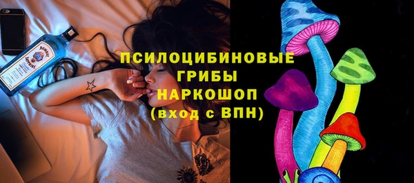 mdpv Козельск