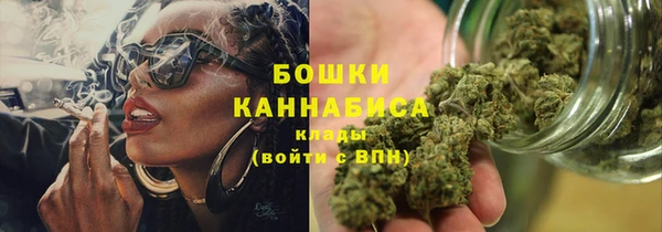 гидра Козловка