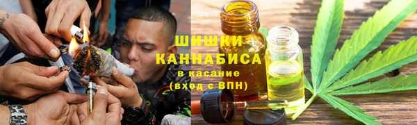 гидра Козловка