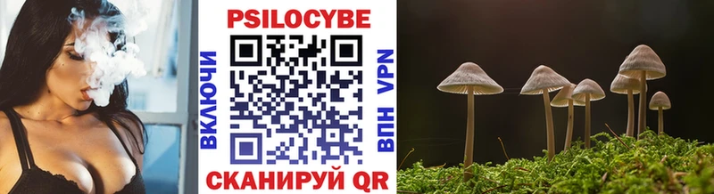 Псилоцибиновые грибы ЛСД  Купить где  Фрязино 